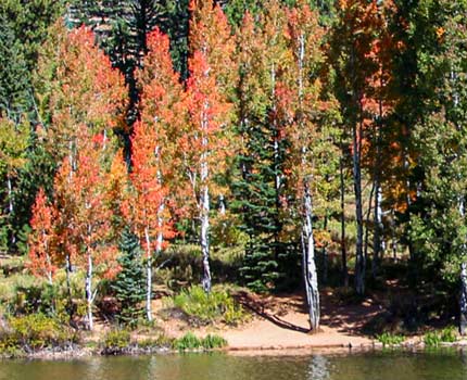 fall hiking tours greater zion